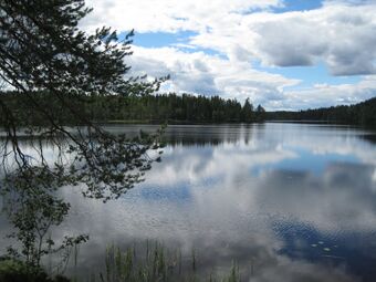 Bjørvannet (be-2008-07-18-IMG 2484).JPG