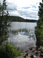 Bjørvannet (be-2008-07-18-IMG 2486).JPG