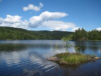 Bjørvannet (be-2008-07-18-IMG 2488).JPG