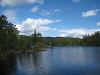 Bjørvannet (be-2008-07-18-IMG 2509).JPG