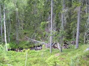 Bjørvannsbekken (be-2008-07-18-IMG 2535).JPG