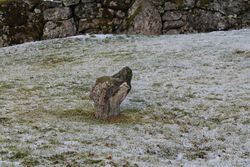 «Hundehovudet» på kyrkjebakken.