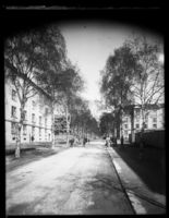 Fra Bjerkealléen. Foto: Narve Skarpmoen .