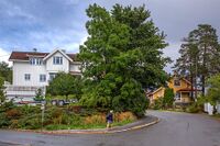 Hjørnet Bjerkelundsveien/Gopledalsveien. Foto: Leif-Harald Ruud (2018).