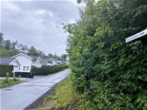 Bjerkoddveien Bærum 2021.jpg