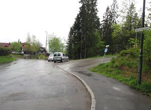 Blåbærsvingen Oslo 2015.jpg