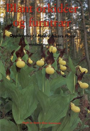 Blant orkidéer og furutrær - forside.jpg