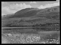 103. Blefjell - no-nb digifoto 20151127 00160 NB MIT FNR 14054.jpg