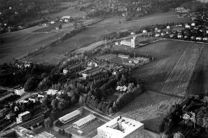 Blindern 1951.jpg