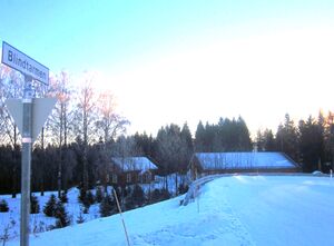 Blindtarmen (veg) Østre Toten kommune 2013.jpg