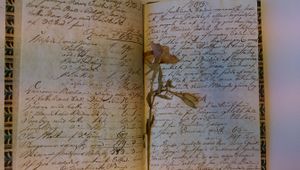 Blomst i Vedastine-samlingen i NFS.jpg