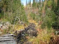 Blygruvebekken der stien krysser bekken like ovenfor Gravdalsgruva