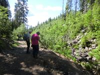 Eiker Arkivs «grensevandring» langs Blygruvebekken i juni 2010.