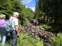 «Grensevandring» langs Blygruvebekken i juni 2010, i anledning av at det var 125 år siden Eiker ble delt i Øvre Eiker og Nedre Eiker.
