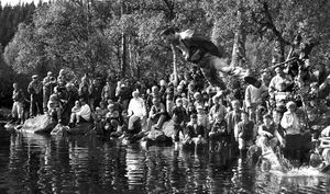 Bokløvstil ved Langvassheimen.jpg