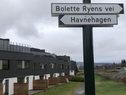 Bolette Ryen har fått sitt navn knyttet til den nye bebyggelsen i Havnehagen på Strømmen.