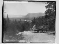 64. Bolkesjø. Telemarken - NB MS G4 0182.jpg