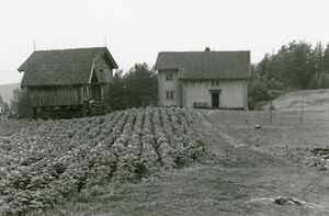 Bolkesjø Uppigard, Telemark - Riksantikvaren-T169 01 0046.jpg