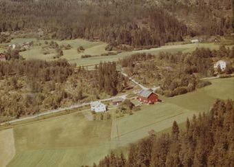 Borge i Bingen (Skotselv) - WF518.jpg