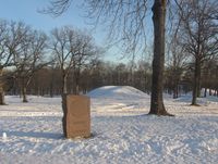 Borreparken med Borrehaugene ligger i Horten kommune. Foto: Stig Rune Pedersen