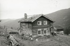 Botne, Telemark - Riksantikvaren-T177 01 0117.jpg