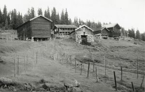 Botne, Telemark - Riksantikvaren-T177 01 0118.jpg