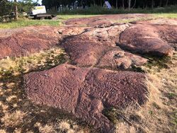 Bråte geologifunn nr. 7378. Foto Steinar Bunæs 2023.