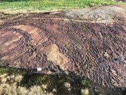 Bråte geologifunn nr. 7379. Foto Steinar Bunæs 2023.