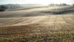 Bråtejordet sett fra nord vinter 2011.