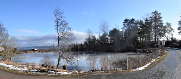 Den nordligste og eneste gjenværende av Bråtaløkkdammene. Den sydlige ble fylt igjen og bebygd. Veien til høyere på bilder ligger der demningen mellom de to dammene var. (Foto: Victor Iversen 2020)