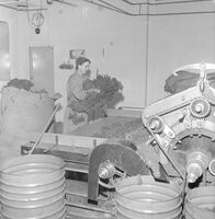 Fra fabrikkhallen. Foto: Dagbladet/Norsk Teknisk Museum (oktobr 1958).