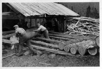 Saging sist på 1940-talet?