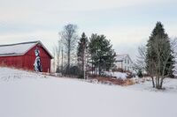 Midtre Brådal. «Napoleon» på låveveggen; signert graffitikunstneren DOT DOT DOT; skriver seg fra prosjektet Landart Gjerdrum. Foto: Leif-Harald Ruud (2017)