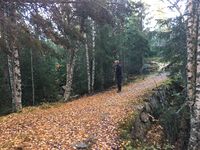 Karl Halvor Langerud på damkrona. (Foto: Bent Ek, oktober 2022)