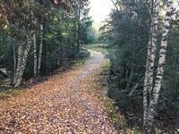 Dammen sett fra øst. (Foto: Bent Ek, oktober 2022)