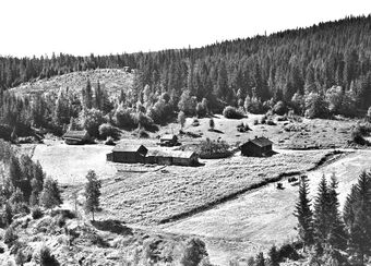 Bratberget søndre Brandval vestside 1956.jpg