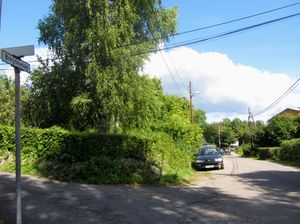 Bregneveien Oslo 2013.jpg