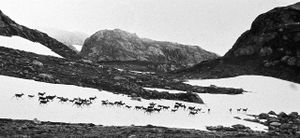 Breive 39 - HFB I 95.jpg