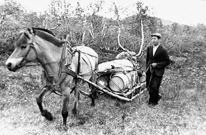 Breive 41 - HFB I 96.jpg