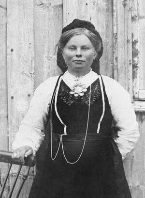 Breive 58 - HFB I 116.jpg