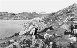 Breive 77 - HFB I 133.jpg