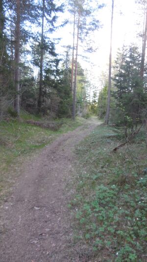 Bremsåsen (be-2015-05-14-DSCN2551).JPG