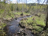 100. Brendalsbekken (be-2012-05-12-IMG 1577).JPG