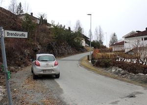 Brendsrudlia Asker 2016.jpg