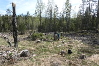 Brenneplassen 2022 (P1010745).JPG