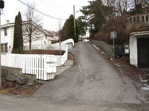 Briskeveien Oslo 2015.jpg