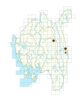 Bromopsis benekeni.png