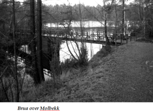 Brua over molbekk.png