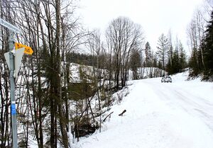 Brumsdalsvegen Rollag 2016.jpg