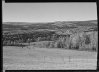 169. Brumunddal - no-nb digifoto 20151105 00033 NB MIT FNR 06446.jpg